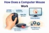 How Does a Computer Mouse Work Complete and Simple Guide - Post Thumbnail
