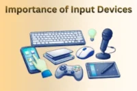 Importance of Input Devices Hidden Power Most Users Ignore