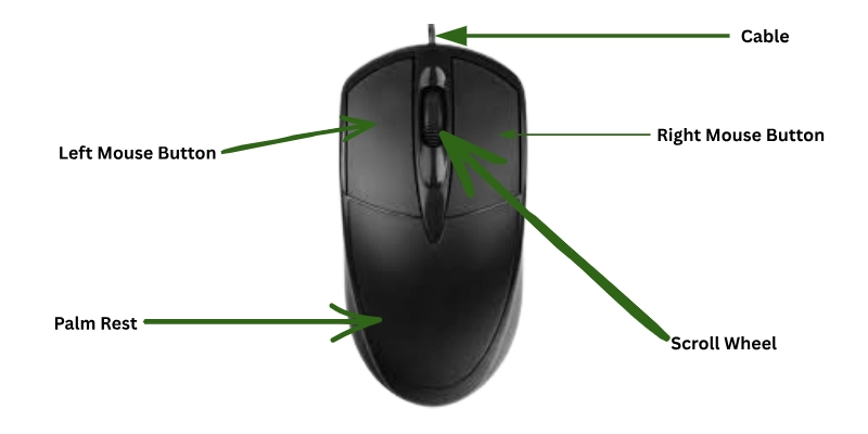 Parts Of A Computer Mouse 2