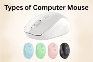 Types of Computer Mouse Best Options for Every Need, Guide