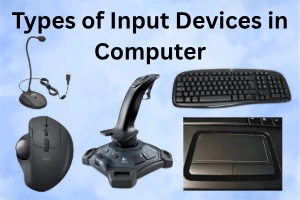 Types of Input Devices in Computer Make Your Work Easier