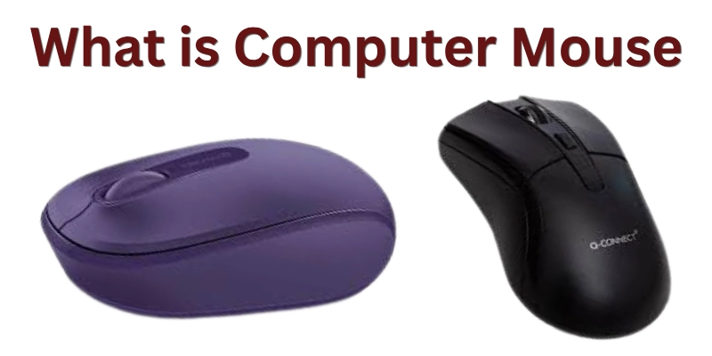 What Is Computer Mouse