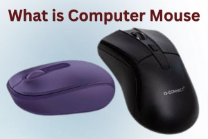 What is a Computer Mouse A Complete Guide for Smart Users